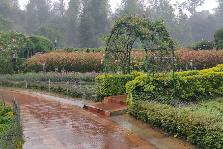 Luxury Glamping in Poombarai Luxury Glamping in Kodaikanal
